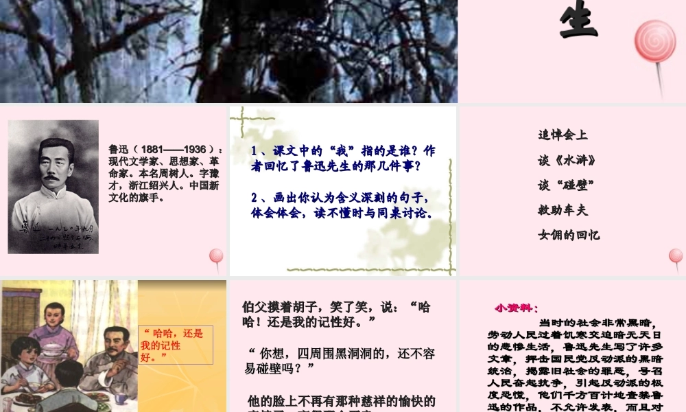 六年级语文上册 第五组 18 我的伯父鲁迅先生课件3 新人教版-新人教版小学六年级上册语文课件