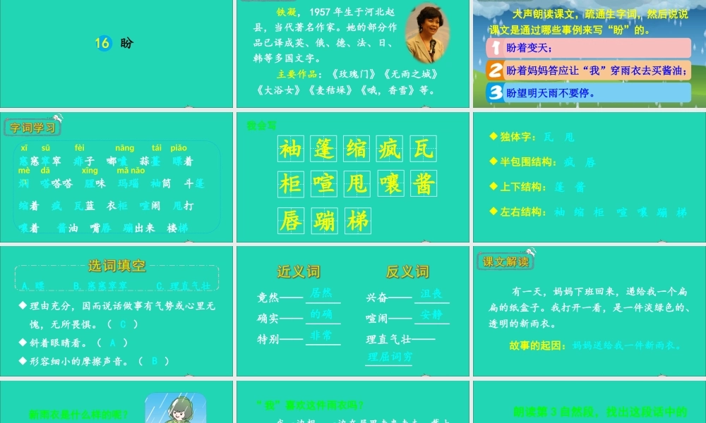 六年级语文上册 第五单元 16 盼课件