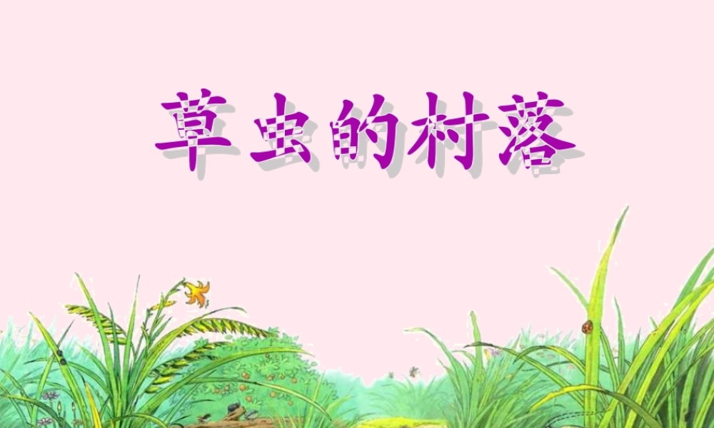 六年级语文上册 第一组 3 草虫的村落课件1 新人教版-新人教版小学六年级上册语文课件