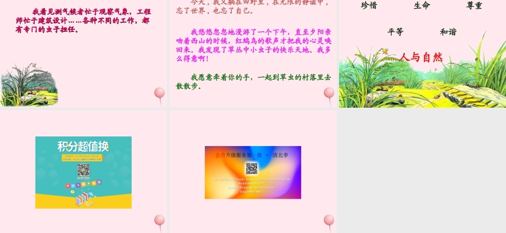 六年级语文上册 第一组 3 草虫的村落课件1 新人教版-新人教版小学六年级上册语文课件