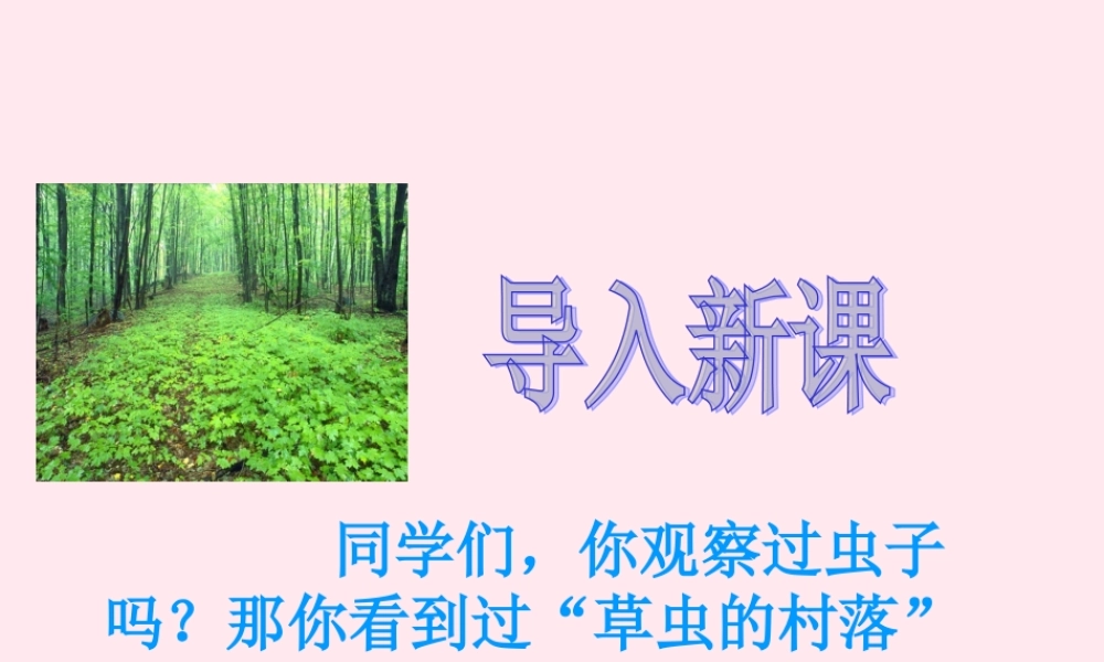 六年级语文上册 第一组 3 草虫的村落课件2 新人教版-新人教版小学六年级上册语文课件