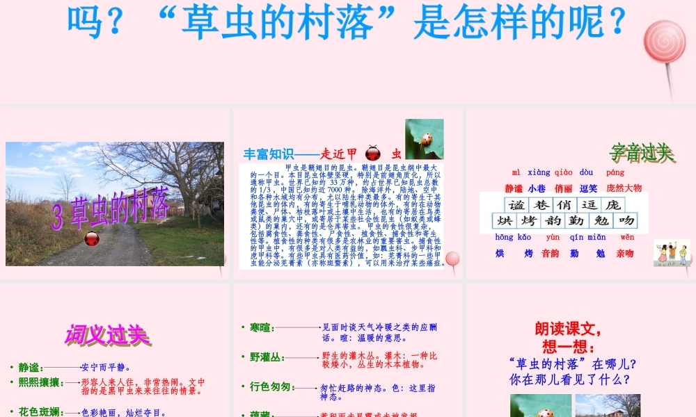 六年级语文上册 第一组 3 草虫的村落课件2 新人教版-新人教版小学六年级上册语文课件