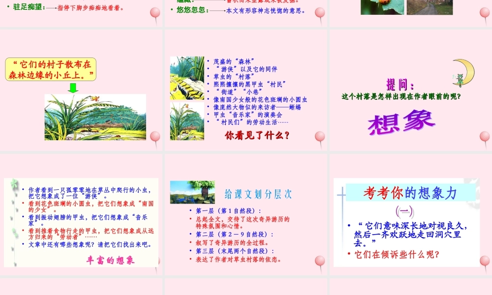 六年级语文上册 第一组 3 草虫的村落课件2 新人教版-新人教版小学六年级上册语文课件