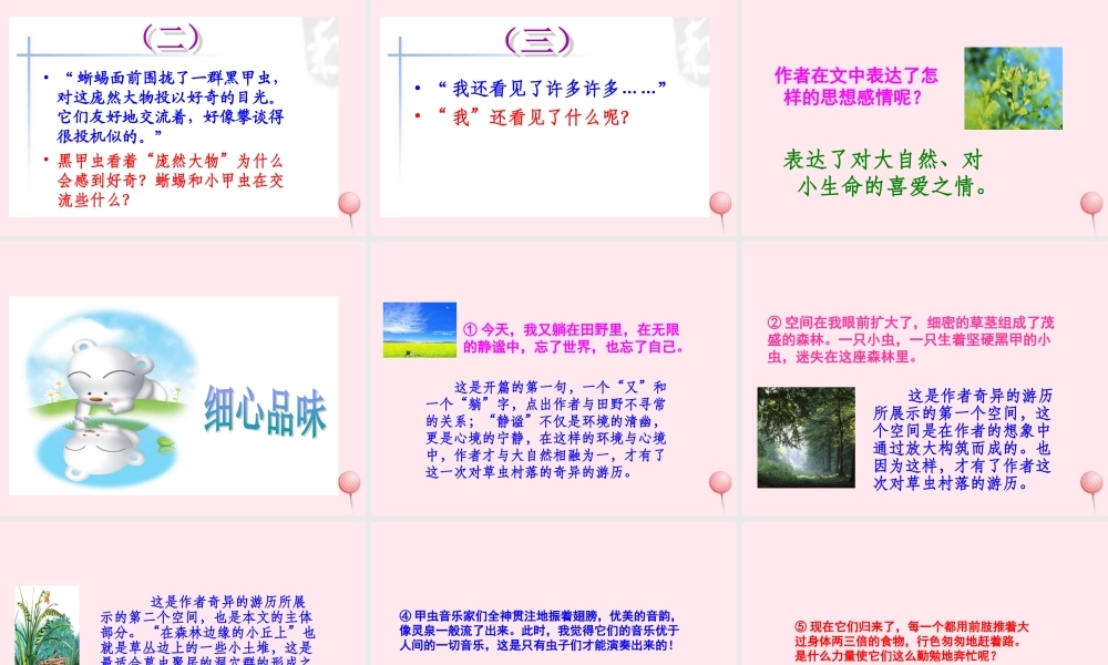六年级语文上册 第一组 3 草虫的村落课件2 新人教版-新人教版小学六年级上册语文课件