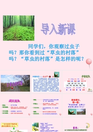 六年级语文上册 第一组 3 草虫的村落课件2 新人教版-新人教版小学六年级上册语文课件