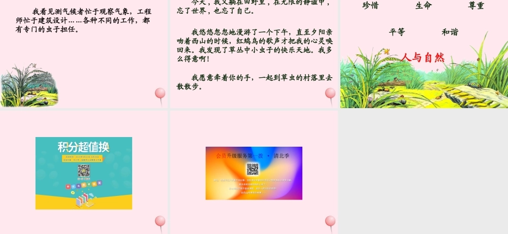 六年级语文上册 第一组 3 草虫的村落课件3 新人教版-新人教版小学六年级上册语文课件