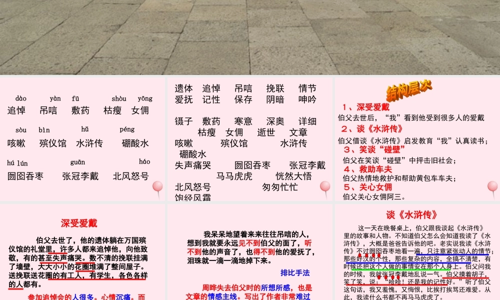 六年级语文上册 第五组 18我的伯父鲁迅先生课堂教学课件3 新人教版-新人教版小学六年级上册语文课件