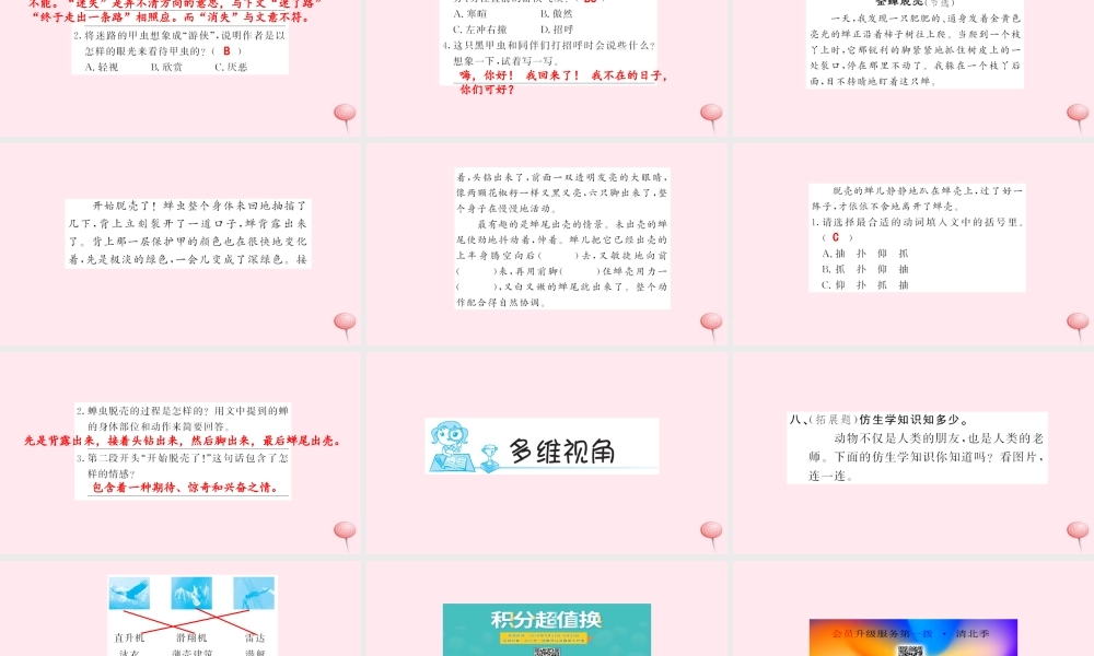 六年级语文上册 第一组 3 草虫的村落习题课件 新人教版-新人教版小学六年级上册语文课件