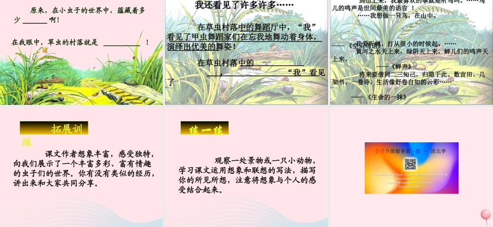 六年级语文上册 第一组 3《草虫的村落》课堂教学课件2 新人教版-新人教版小学六年级上册语文课件