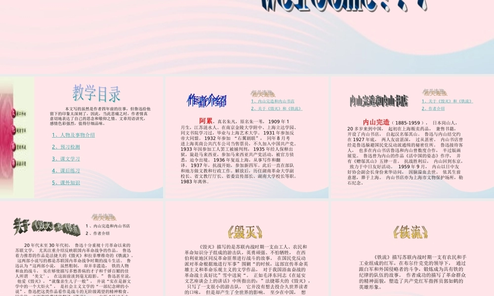 六年级语文上册 第五组 19 一面课件4 新人教版-新人教版小学六年级上册语文课件