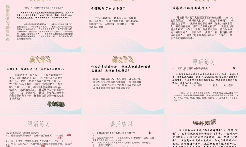 六年级语文上册 第五组 19 一面课件4 新人教版-新人教版小学六年级上册语文课件