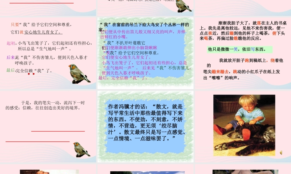 六年级语文上册 第五单元 17《珍珠鸟》名师课件 北京版-北京版小学六年级上册语文课件