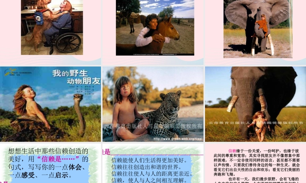 六年级语文上册 第五单元 17《珍珠鸟》名师课件 北京版-北京版小学六年级上册语文课件