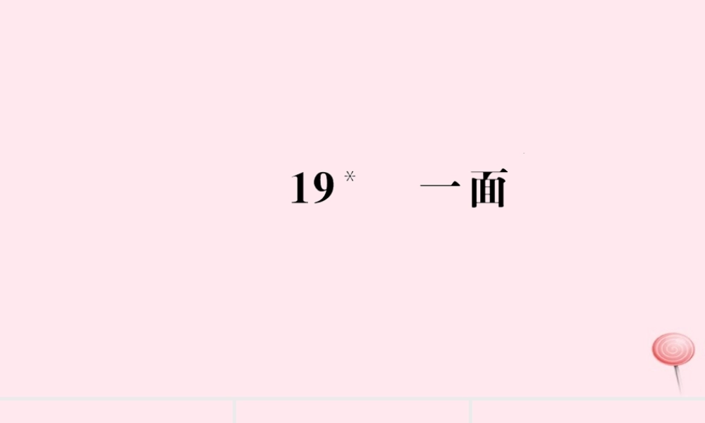 六年级语文上册 第五组 19 一面习题课件 新人教版-新人教版小学六年级上册语文课件
