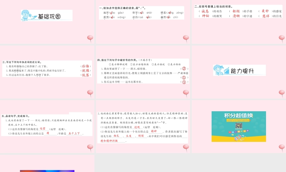 六年级语文上册 第五组 19 一面习题课件 新人教版-新人教版小学六年级上册语文课件