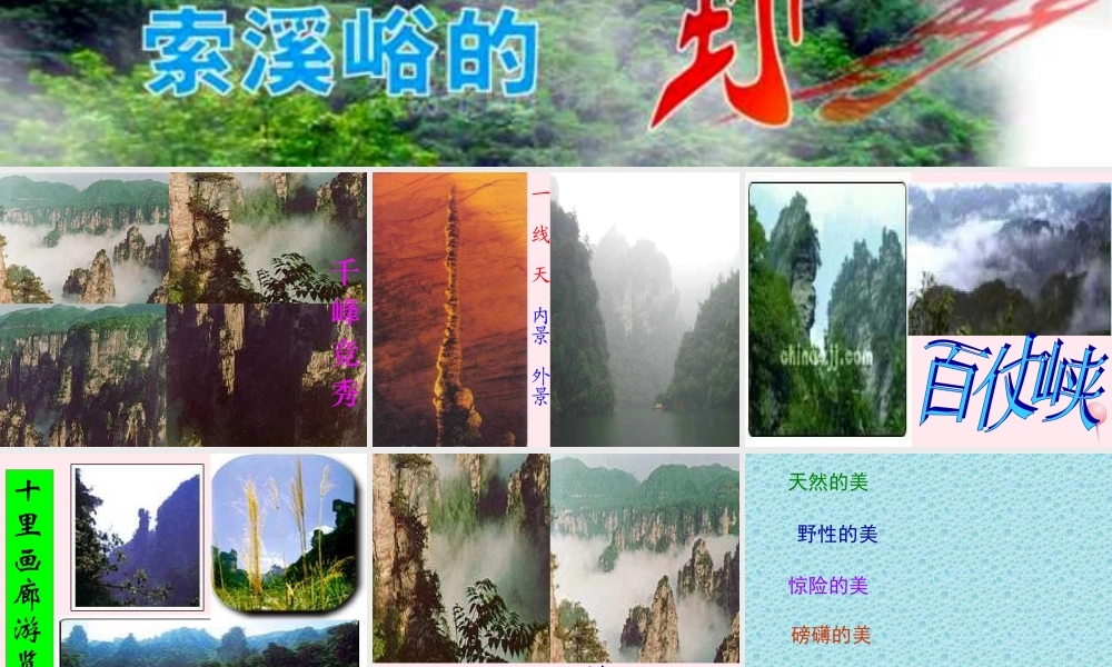 六年级语文上册 第一组 4 索溪峪的野课件1 新人教版-新人教版小学六年级上册语文课件