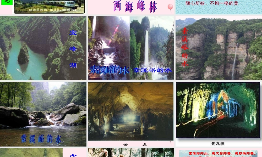 六年级语文上册 第一组 4 索溪峪的野课件1 新人教版-新人教版小学六年级上册语文课件