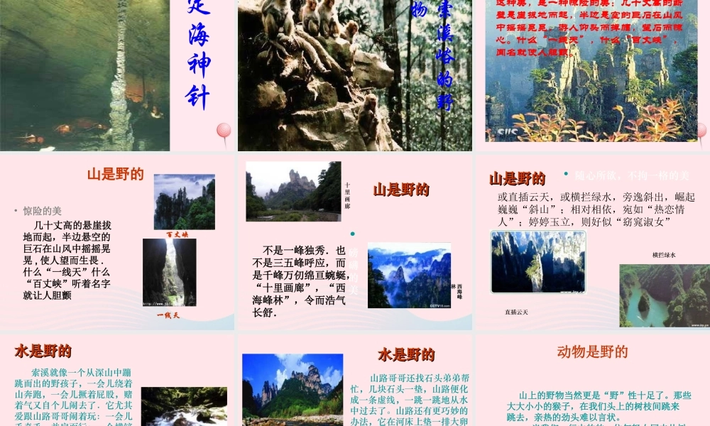 六年级语文上册 第一组 4 索溪峪的野课件1 新人教版-新人教版小学六年级上册语文课件