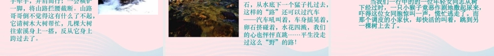 六年级语文上册 第一组 4 索溪峪的野课件1 新人教版-新人教版小学六年级上册语文课件