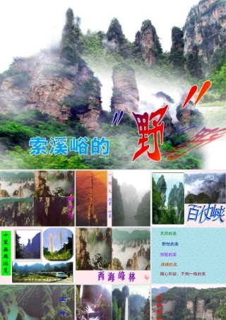 六年级语文上册 第一组 4 索溪峪的野课件1 新人教版-新人教版小学六年级上册语文课件