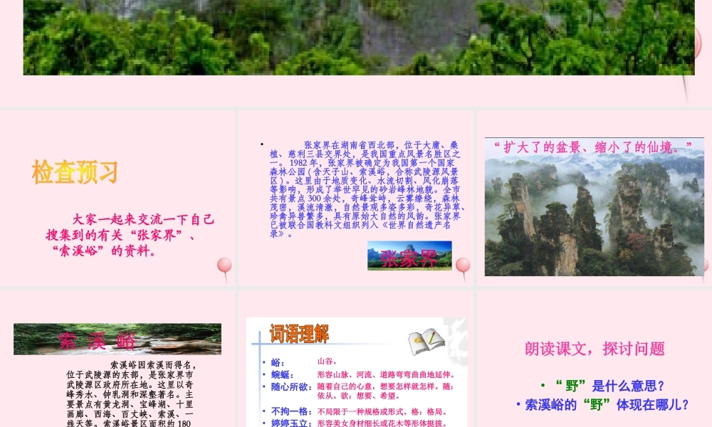 六年级语文上册 第一组 4 索溪峪的野课件2 新人教版-新人教版小学六年级上册语文课件
