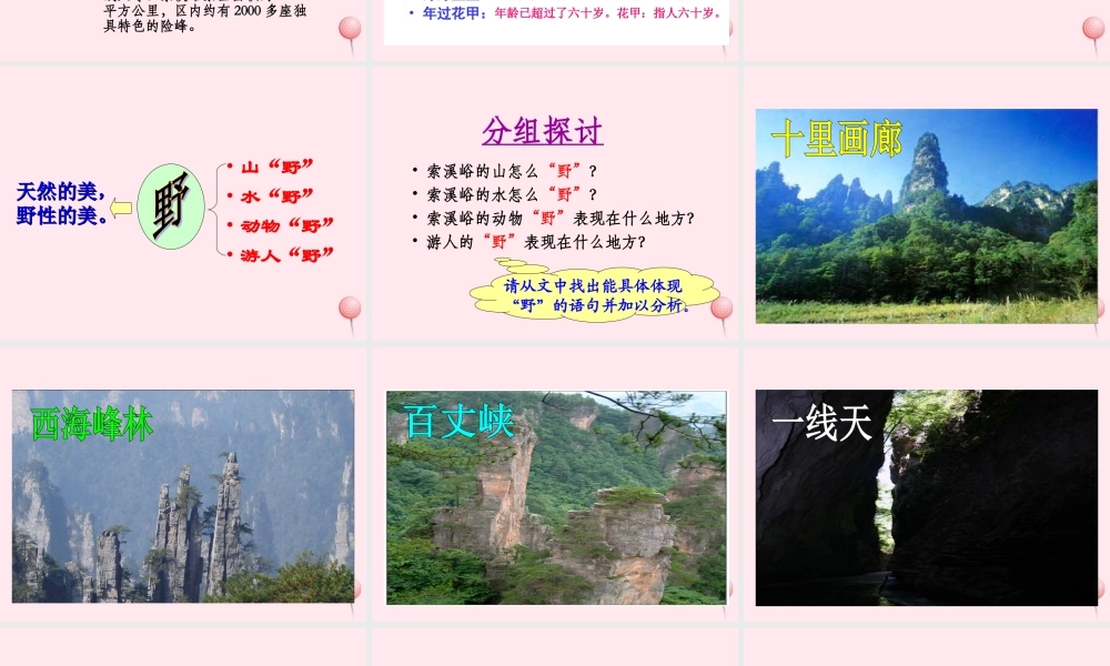 六年级语文上册 第一组 4 索溪峪的野课件2 新人教版-新人教版小学六年级上册语文课件