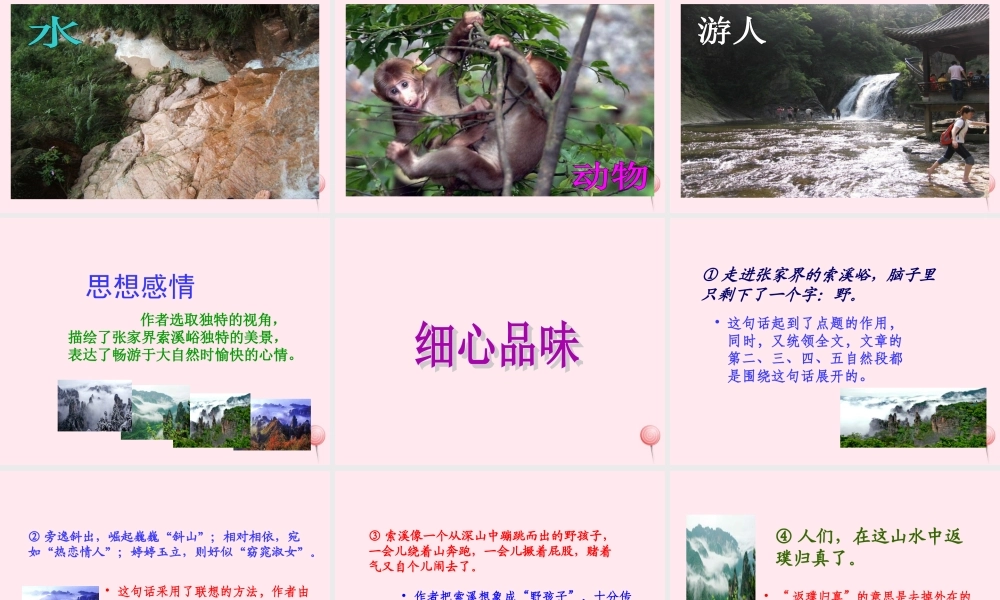 六年级语文上册 第一组 4 索溪峪的野课件2 新人教版-新人教版小学六年级上册语文课件