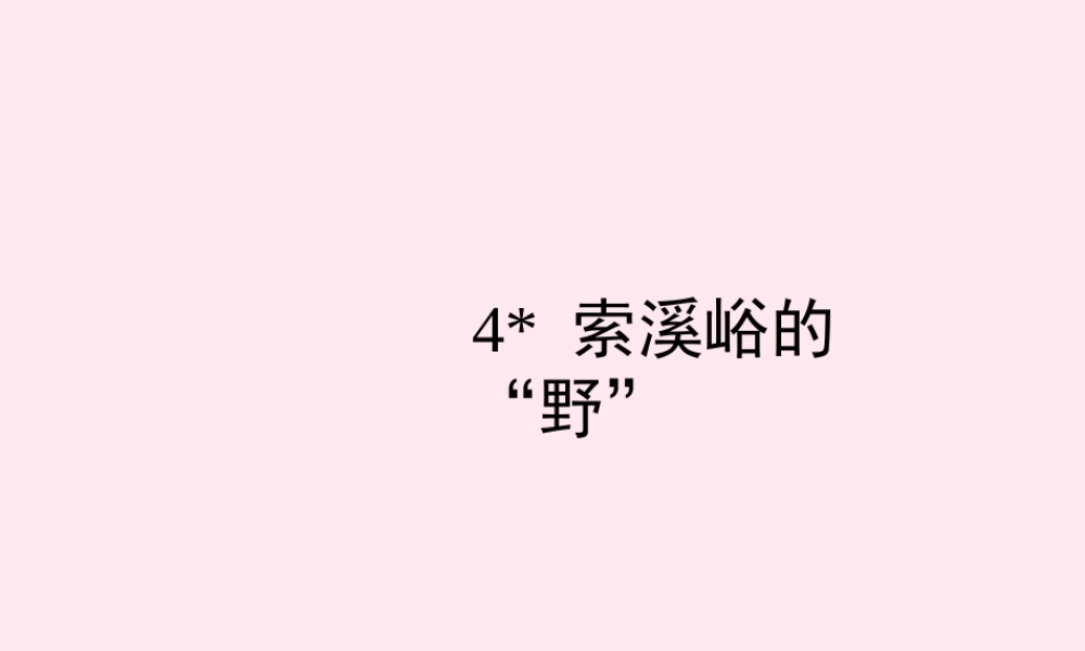 六年级语文上册 第一组 4 索溪峪的野课件3 新人教版-新人教版小学六年级上册语文课件