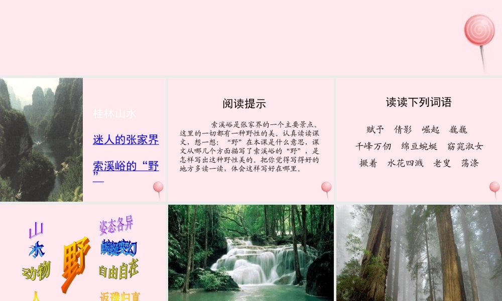 六年级语文上册 第一组 4 索溪峪的野课件3 新人教版-新人教版小学六年级上册语文课件