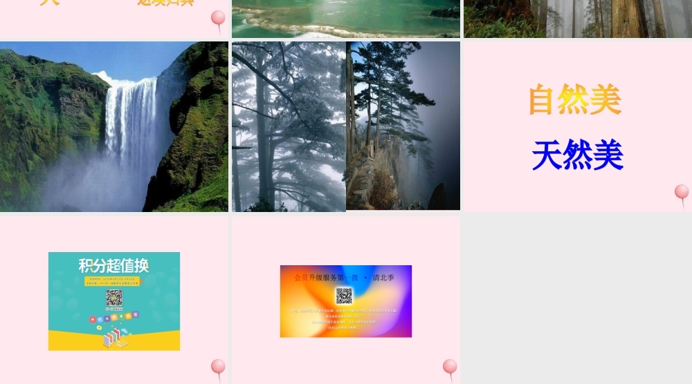 六年级语文上册 第一组 4 索溪峪的野课件3 新人教版-新人教版小学六年级上册语文课件
