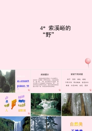 六年级语文上册 第一组 4 索溪峪的野课件3 新人教版-新人教版小学六年级上册语文课件