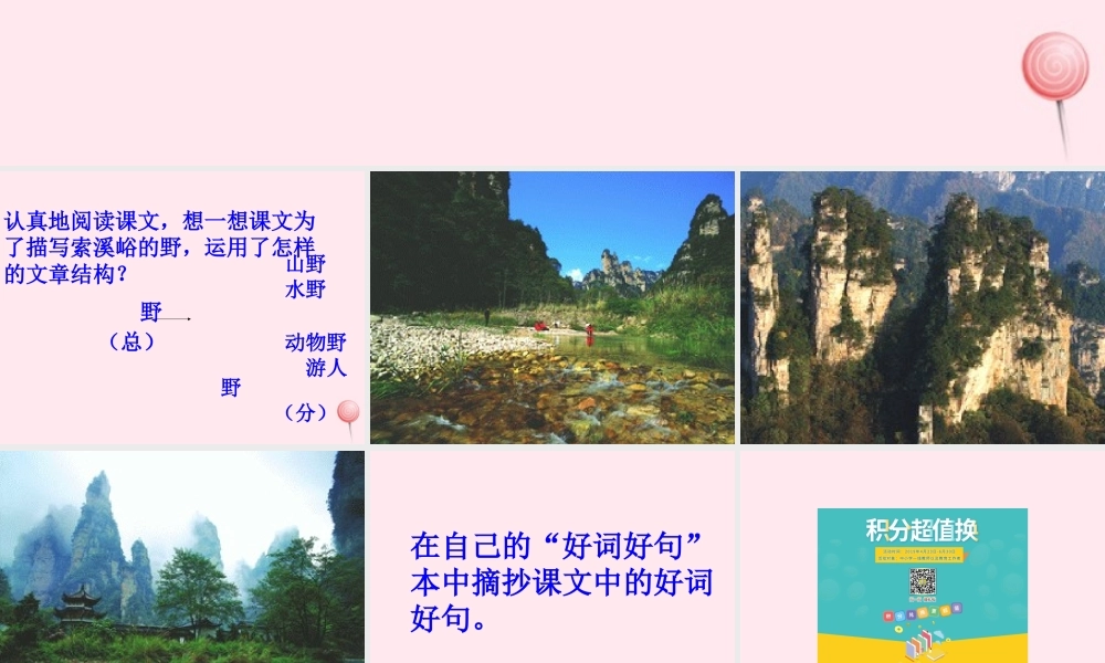 六年级语文上册 第一组 4 索溪峪的野课件4 新人教版-新人教版小学六年级上册语文课件