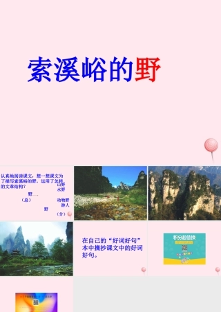六年级语文上册 第一组 4 索溪峪的野课件4 新人教版-新人教版小学六年级上册语文课件