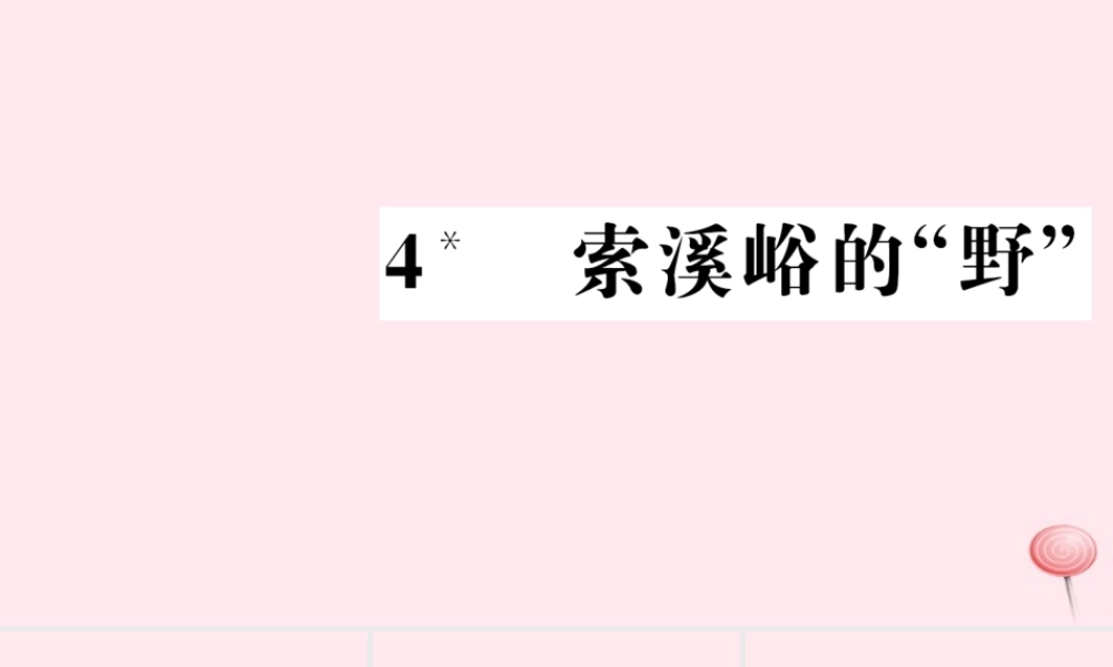 六年级语文上册 第一组 4 索溪峪的野习题课件 新人教版-新人教版小学六年级上册语文课件