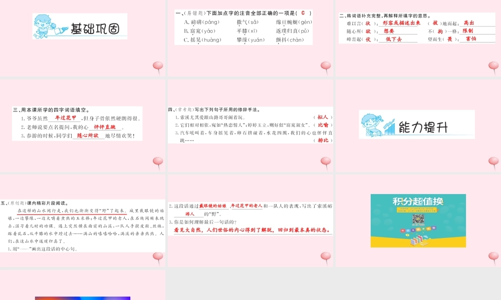 六年级语文上册 第一组 4 索溪峪的野习题课件 新人教版-新人教版小学六年级上册语文课件