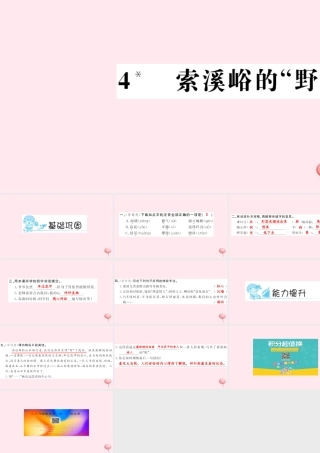 六年级语文上册 第一组 4 索溪峪的野习题课件 新人教版-新人教版小学六年级上册语文课件
