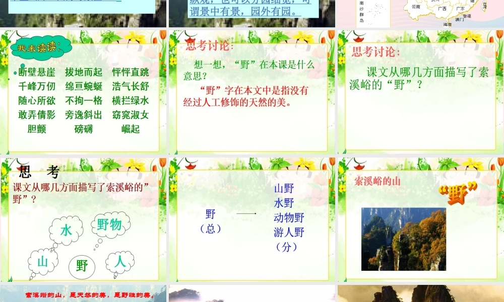 六年级语文上册 第一组 4《索溪峪的野》课堂教学课件2 新人教版-新人教版小学六年级上册语文课件