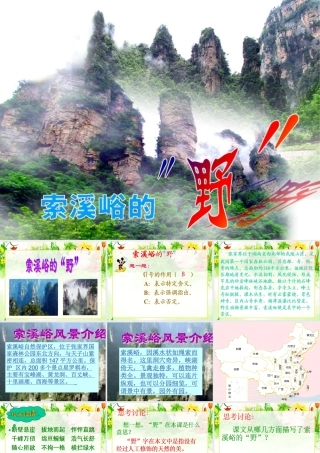 六年级语文上册 第一组 4《索溪峪的野》课堂教学课件2 新人教版-新人教版小学六年级上册语文课件