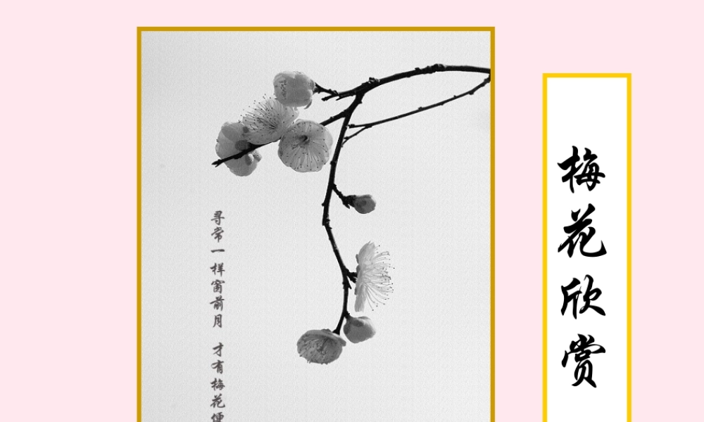 六年级语文上册 第五单元 21《词二首》优培课件 冀教版-冀教版小学六年级上册语文课件