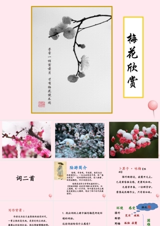 六年级语文上册 第五单元 21《词二首》优培课件 冀教版-冀教版小学六年级上册语文课件