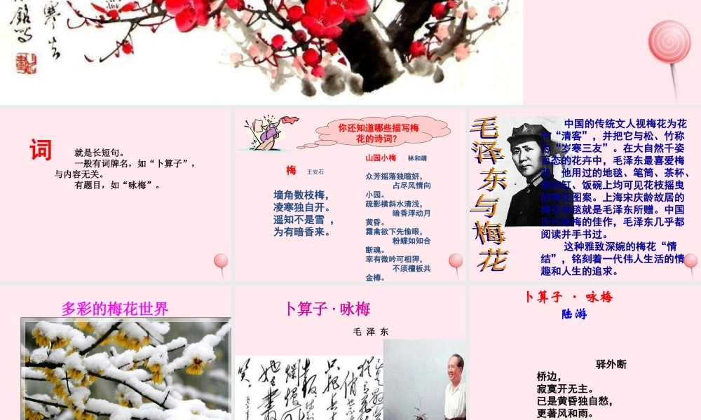 六年级语文上册 第五单元 21《词二首》优秀同步课件 冀教版-冀教版小学六年级上册语文课件