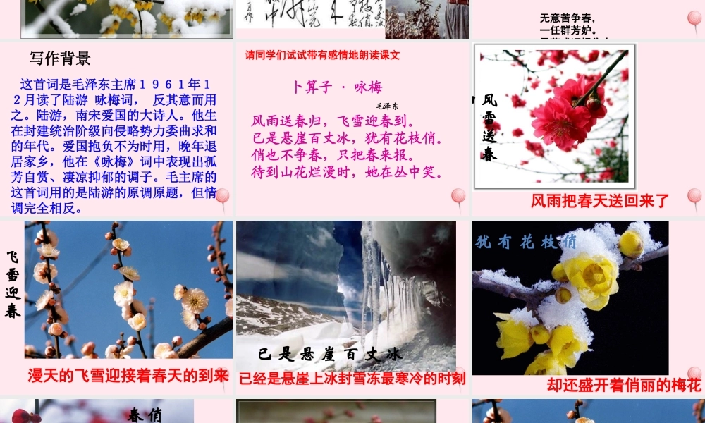 六年级语文上册 第五单元 21《词二首》优秀同步课件 冀教版-冀教版小学六年级上册语文课件