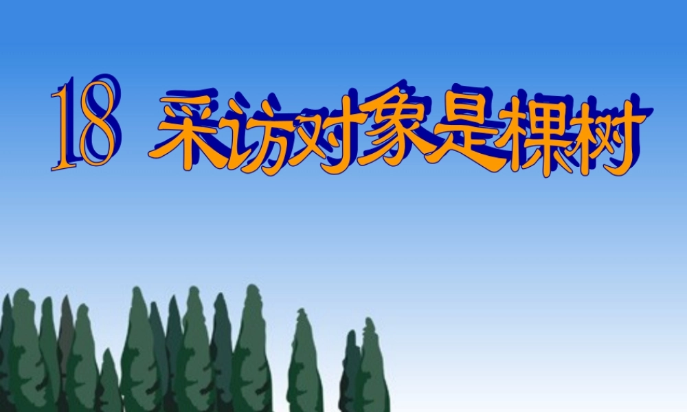 六年级语文上册 采访对象是棵树课件1 湘教版-湘教版小学六年级上册语文课件