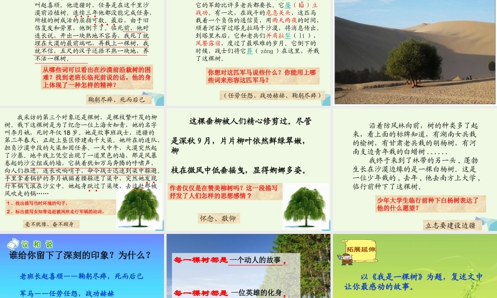 六年级语文上册 采访对象是棵树课件1 湘教版-湘教版小学六年级上册语文课件