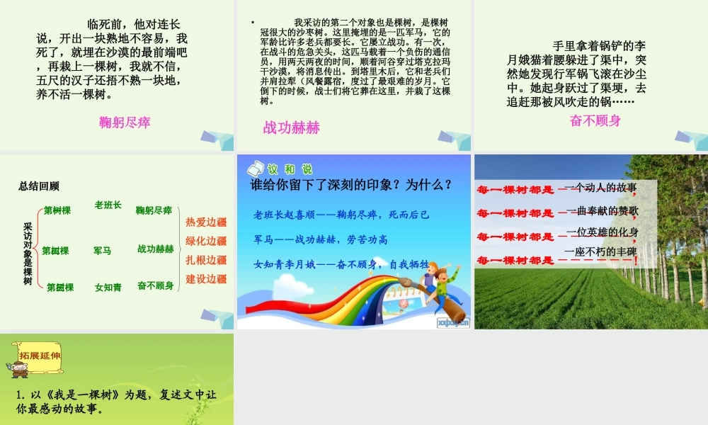 六年级语文上册 采访对象是棵树课件2 湘教版-湘教版小学六年级上册语文课件