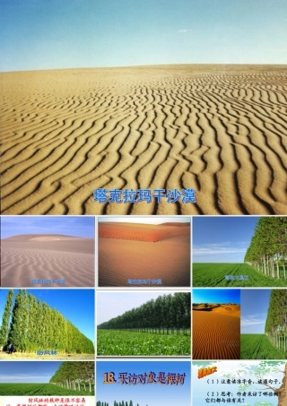 六年级语文上册 采访对象是棵树课件2 湘教版-湘教版小学六年级上册语文课件