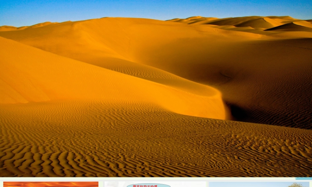 六年级语文上册 采访对象是棵树课件3 湘教版-湘教版小学六年级上册语文课件