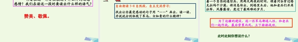 六年级语文上册 采访对象是棵树课件3 湘教版-湘教版小学六年级上册语文课件