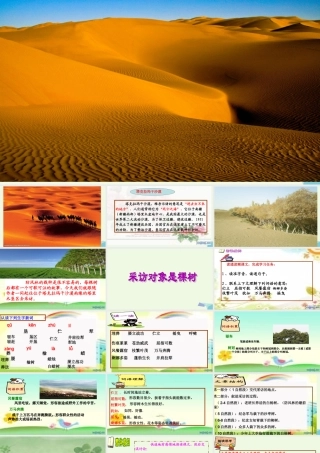 六年级语文上册 采访对象是棵树课件3 湘教版-湘教版小学六年级上册语文课件