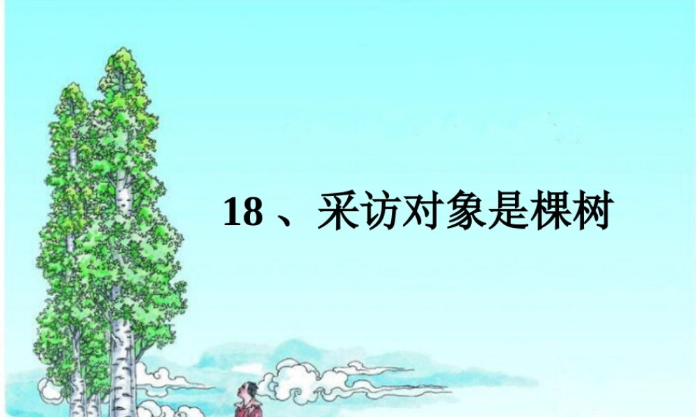 六年级语文上册 采访对象是棵树课件4 湘教版-湘教版小学六年级上册语文课件